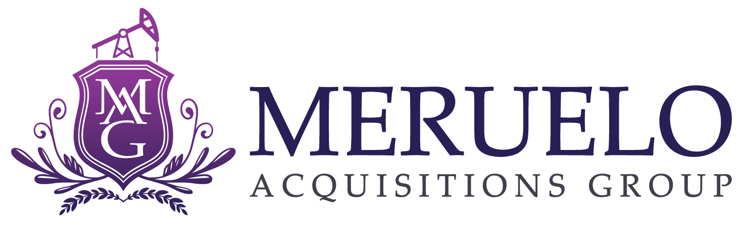 MERUELO ACQUISITIONS GROUP LLC